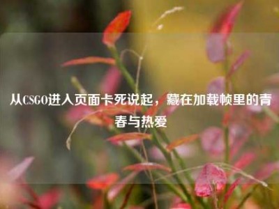 从CSGO进入页面卡死说起，藏在加载帧里的青春与热爱