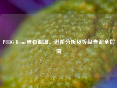 PUBG Demo查看调取、进阶分析及等级查询全指南