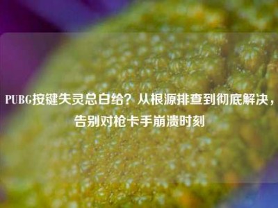 PUBG按键失灵总白给？从根源排查到彻底解决，告别对枪卡手崩溃时刻