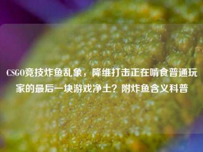 CSGO竞技炸鱼乱象，降维打击正在啃食普通玩家的最后一块游戏净土？附炸鱼含义科普