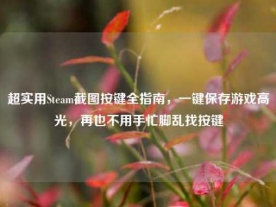 超实用Steam截图按键全指南，一键保存游戏高光，再也不用手忙脚乱找按键