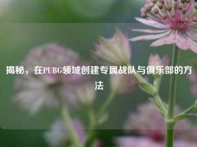 揭秘，在PUBG领域创建专属战队与俱乐部的方法