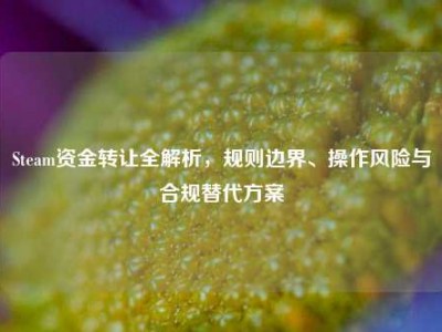 Steam资金转让全解析，规则边界、操作风险与合规替代方案