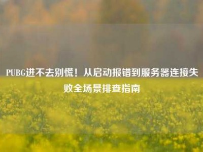 PUBG进不去别慌！从启动报错到服务器连接失败全场景排查指南