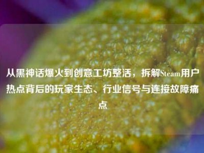 从黑神话爆火到创意工坊整活，拆解Steam用户热点背后的玩家生态、行业信号与连接故障痛点