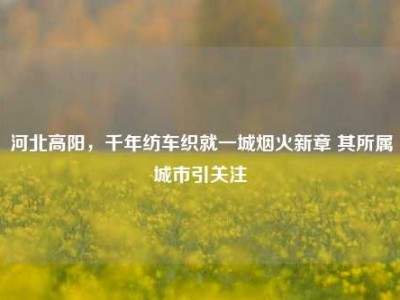 河北高阳，千年纺车织就一城烟火新章 其所属城市引关注