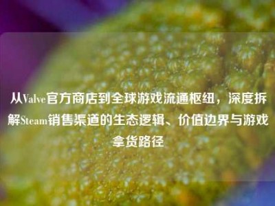 从Valve官方商店到全球游戏流通枢纽，深度拆解Steam销售渠道的生态逻辑、价值边界与游戏拿货路径