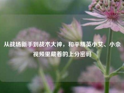 从战场新手到战术大神，和平精英小艾、小佘视频里藏着的上分密码