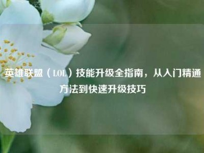 英雄联盟（LOL）技能升级全指南，从入门精通方法到快速升级技巧