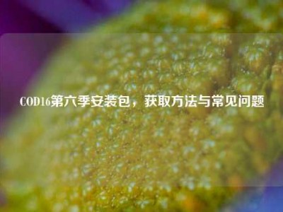 COD16第六季安装包，获取方法与常见问题