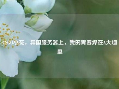CSGO小花，异国服务器上，我的青春焊在A大烟里