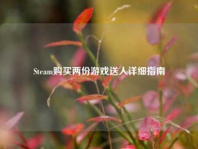 Steam购买两份游戏送人详细指南