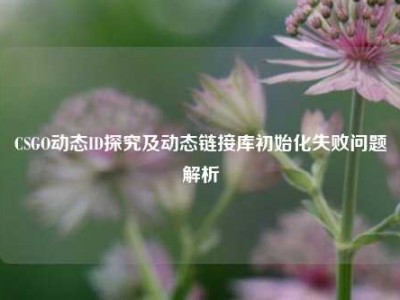 CSGO动态ID探究及动态链接库初始化失败问题解析