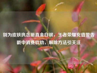 别为皮肤执念砸真金白银，王者荣耀充值警告戳中消费软肋，解除方法引关注