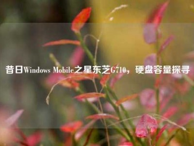 昔日Windows Mobile之星东芝G710，硬盘容量探寻