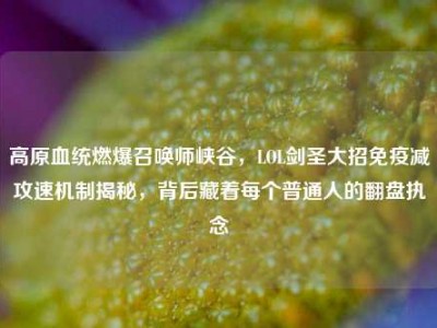 高原血统燃爆召唤师峡谷，LOL剑圣大招免疫减攻速机制揭秘，背后藏着每个普通人的翻盘执念