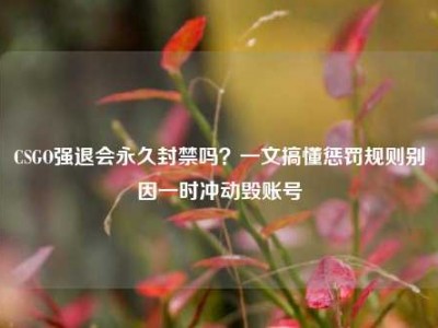 CSGO强退会永久封禁吗？一文搞懂惩罚规则别因一时冲动毁账号