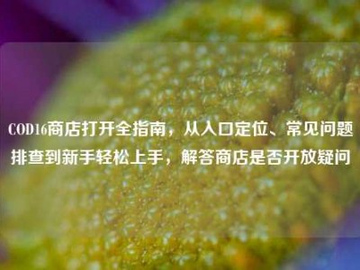 COD16商店打开全指南，从入口定位、常见问题排查到新手轻松上手，解答商店是否开放疑问
