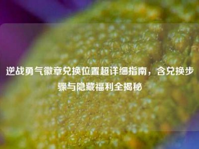 逆战勇气徽章兑换位置超详细指南，含兑换步骤与隐藏福利全揭秘