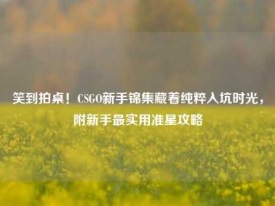 笑到拍桌！CSGO新手锦集藏着纯粹入坑时光，附新手最实用准星攻略