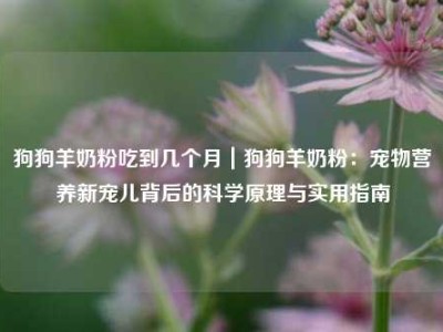 狗狗羊奶粉吃到几个月｜狗狗羊奶粉：宠物营养新宠儿背后的科学原理与实用指南