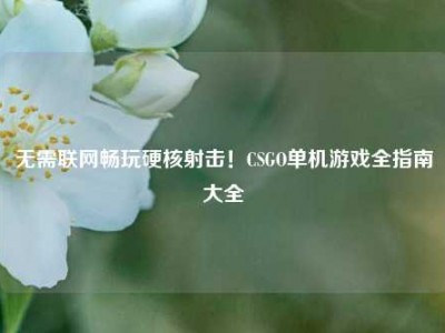 无需联网畅玩硬核射击！CSGO单机游戏全指南大全