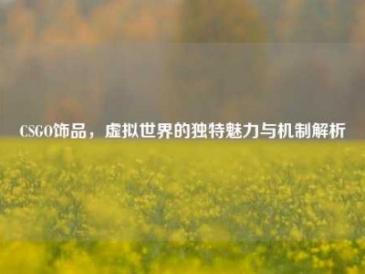 CSGO饰品，虚拟世界的独特魅力与机制解析