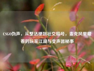 CSGO伪声，从整活梗到社交暗号，麦克风里藏着的玩家江湖与变声器秘事