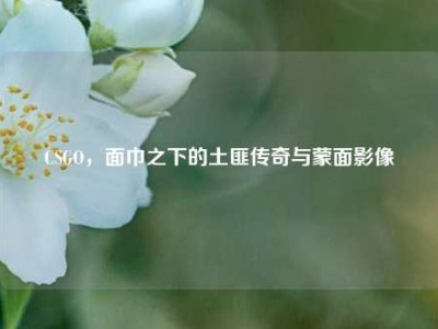 CSGO，面巾之下的土匪传奇与蒙面影像