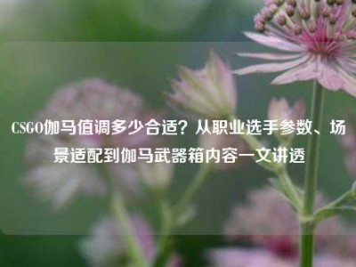 CSGO伽马值调多少合适？从职业选手参数、场景适配到伽马武器箱内容一文讲透