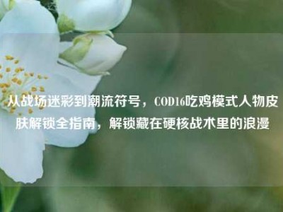从战场迷彩到潮流符号，COD16吃鸡模式人物皮肤解锁全指南，解锁藏在硬核战术里的浪漫