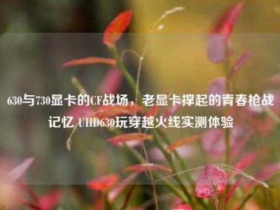 630与730显卡的CF战场，老显卡撑起的青春枪战记忆 UHD630玩穿越火线实测体验
