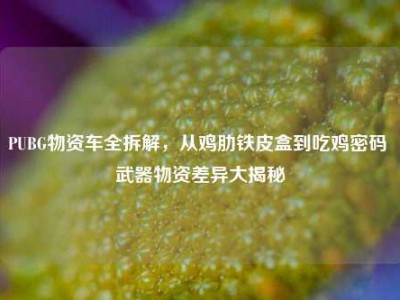 PUBG物资车全拆解，从鸡肋铁皮盒到吃鸡密码 武器物资差异大揭秘