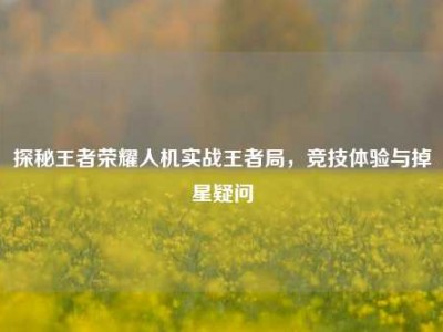 探秘王者荣耀人机实战王者局，竞技体验与掉星疑问