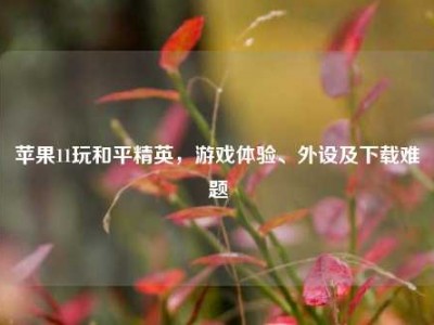 苹果11玩和平精英，游戏体验、外设及下载难题