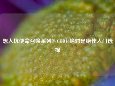 想入坑使命召唤系列？COD16绝对是绝佳入门选择