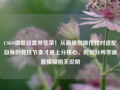 CSGO调低设置并非菜！从画质到操作找对适配自身的竞技节奏才是上分核心，附低分辨率画面模糊相关说明