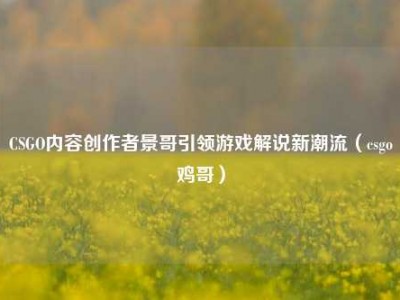CSGO内容创作者景哥引领游戏解说新潮流（csgo鸡哥）