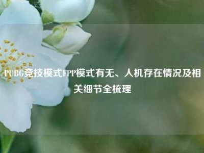 PUBG竞技模式FPP模式有无、人机存在情况及相关细节全梳理
