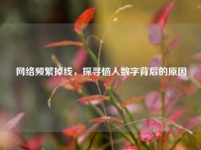 网络频繁掉线，探寻恼人数字背后的原因