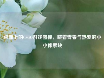 桌面上的CSGO游戏图标，藏着青春与热爱的小小像素块