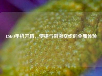 CSGO手机开箱，便捷与刺激交织的全新体验