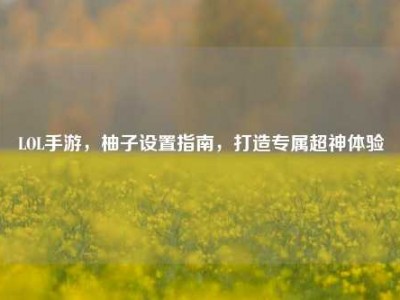 LOL手游，柚子设置指南，打造专属超神体验