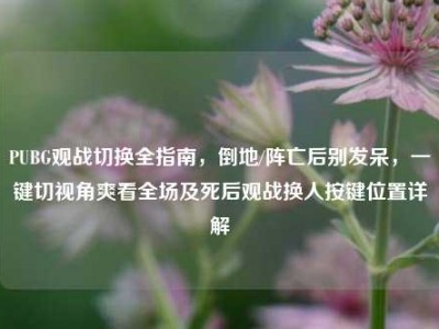 PUBG观战切换全指南，倒地/阵亡后别发呆，一键切视角爽看全场及死后观战换人按键位置详解
