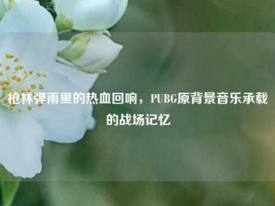枪林弹雨里的热血回响，PUBG原背景音乐承载的战场记忆