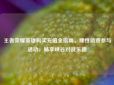 王者荣耀英雄购买充值全指南，理性消费参与活动，畅享峡谷对战乐趣