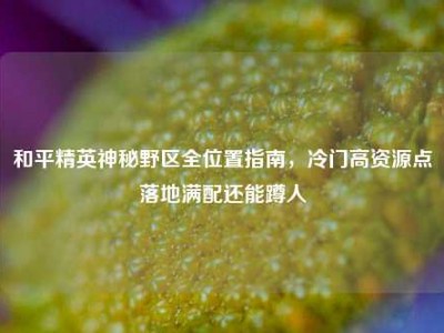 和平精英神秘野区全位置指南，冷门高资源点落地满配还能蹲人