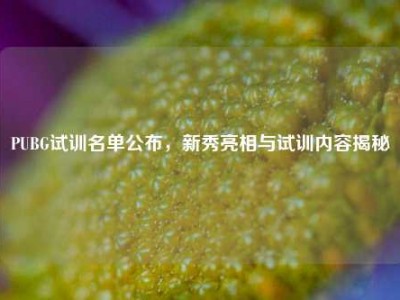 PUBG试训名单公布，新秀亮相与试训内容揭秘
