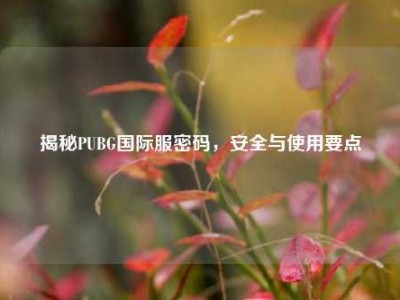 揭秘PUBG国际服密码，安全与使用要点