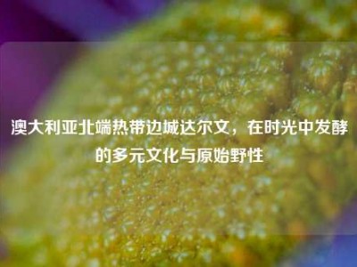 澳大利亚北端热带边城达尔文，在时光中发酵的多元文化与原始野性
